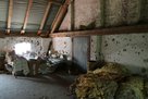 Der Dachboden des Zickhofes mit Einschusslöchern in den Mauern. (Foto: RedTD/Gerold Keusch) 